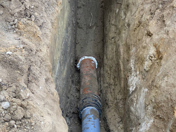 Best Basement water damage restoration  in Mallory, WV