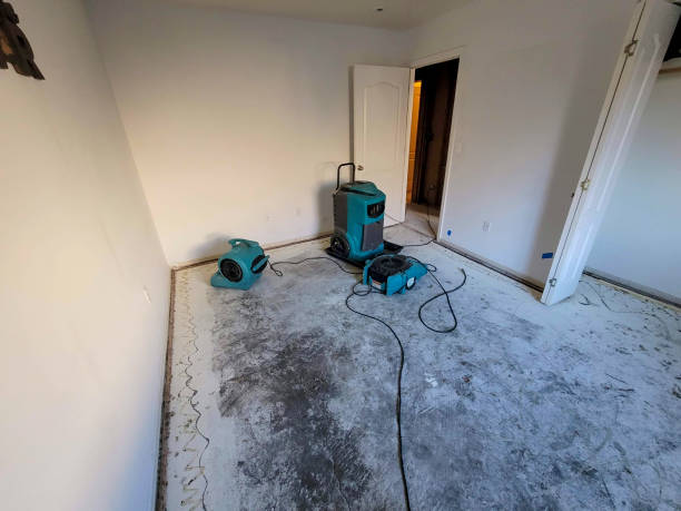 Best Fire Damage Restoration  in Mallory, WV