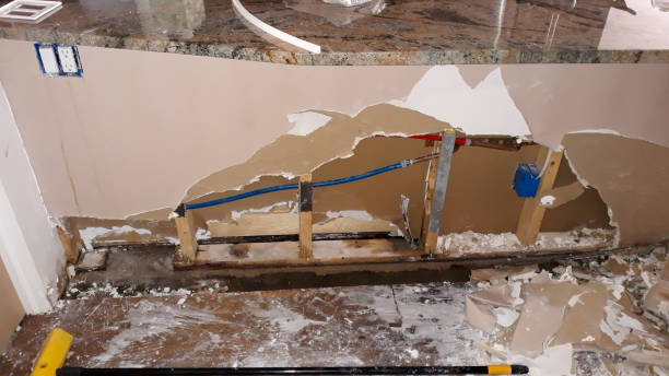 Best Sewage cleanup and water damage restoration  in Mallory, WV