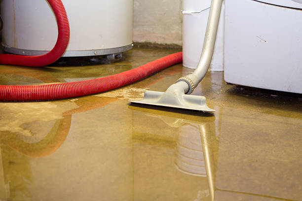 Best Water damage contractors near me  in Mallory, WV