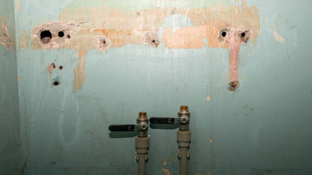 Best 24/7 water damage repair  in Mallory, WV