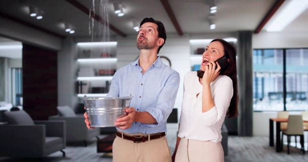 Best Emergency water damage restoration  in Mallory, WV